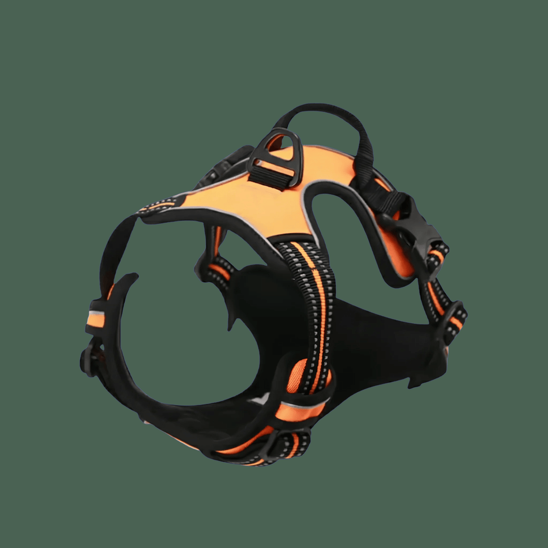 SafeWalk Pro — Premium Hundegeschirr ohne Ziehen mit Reflektoren
