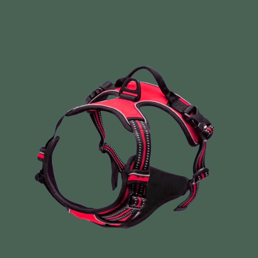 SafeWalk Pro — Premium Hundegeschirr ohne Ziehen mit Reflektoren